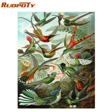 Load image into Gallery viewer, RUOPOTY Frame Diy Painting By Numbers Butterfly Animals Modern Wall Art Canvas Painting Acrylic Paint By Numbers For Home Decors
